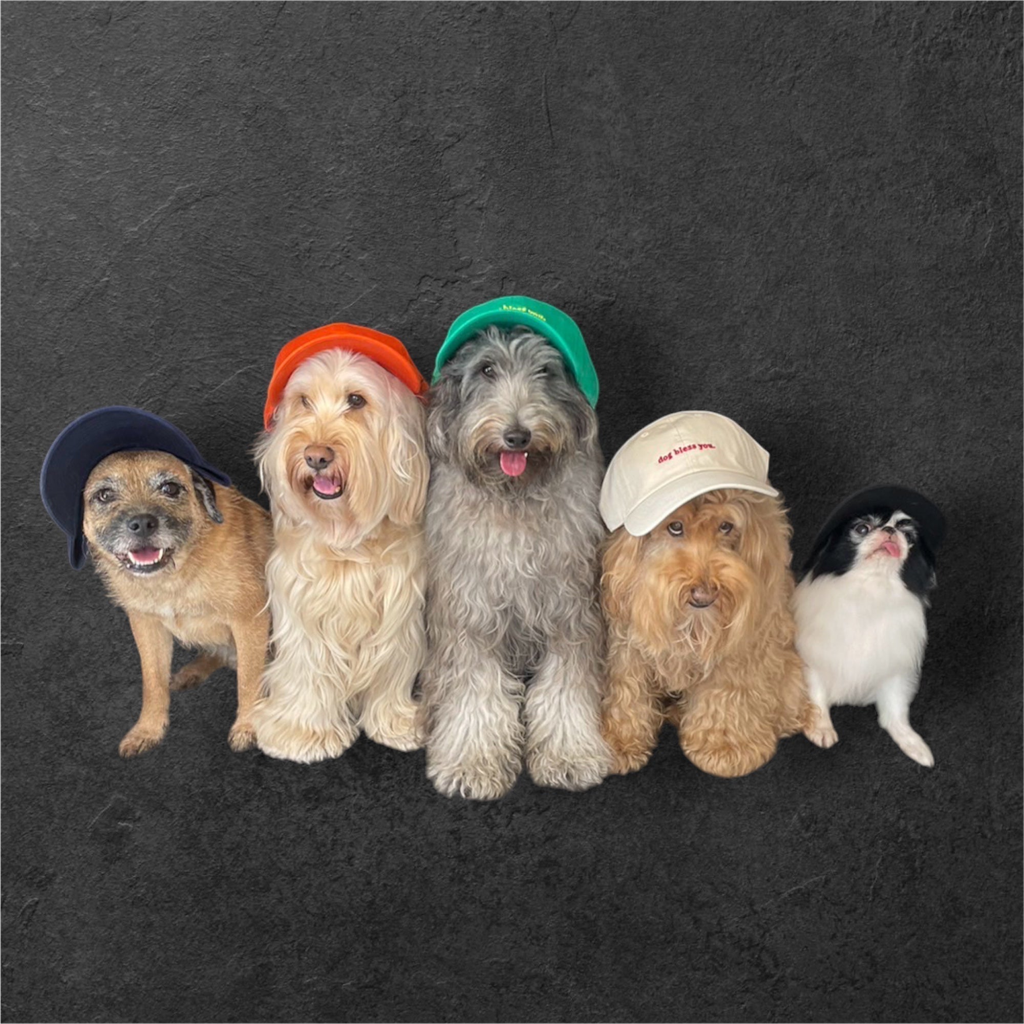 dogmantokyo.online へ ようこそ！